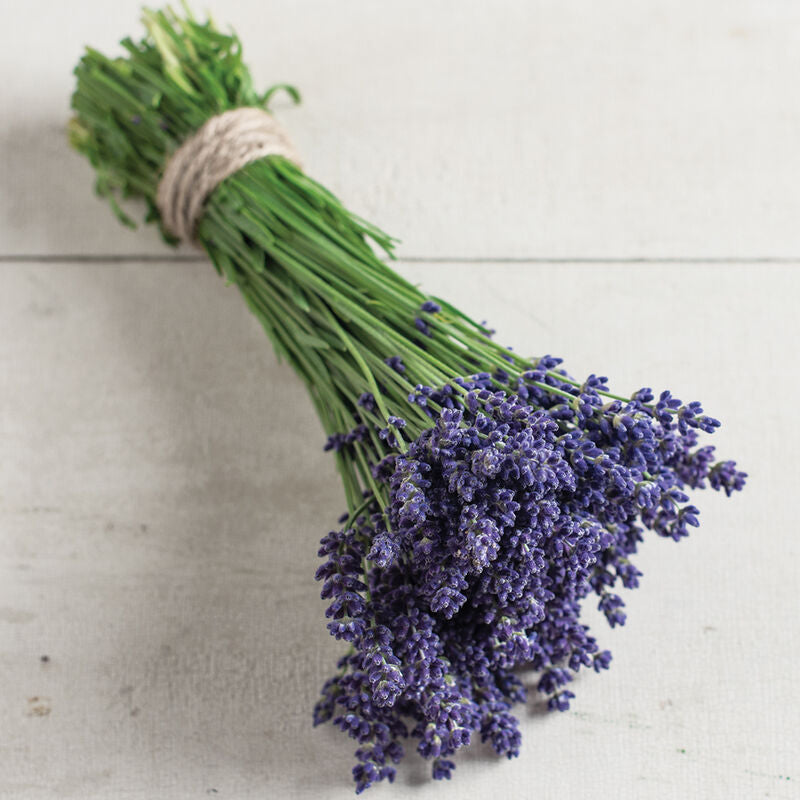 Mason Jar Lavender Soy Candle